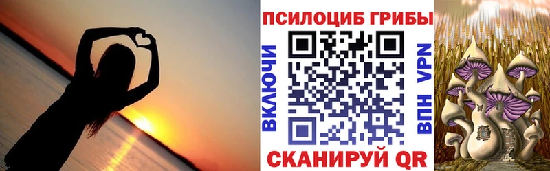 наркотики  Чердынь  ОМГ ОМГ ССЫЛКА  Галлюциногенные грибы Magic Shrooms 